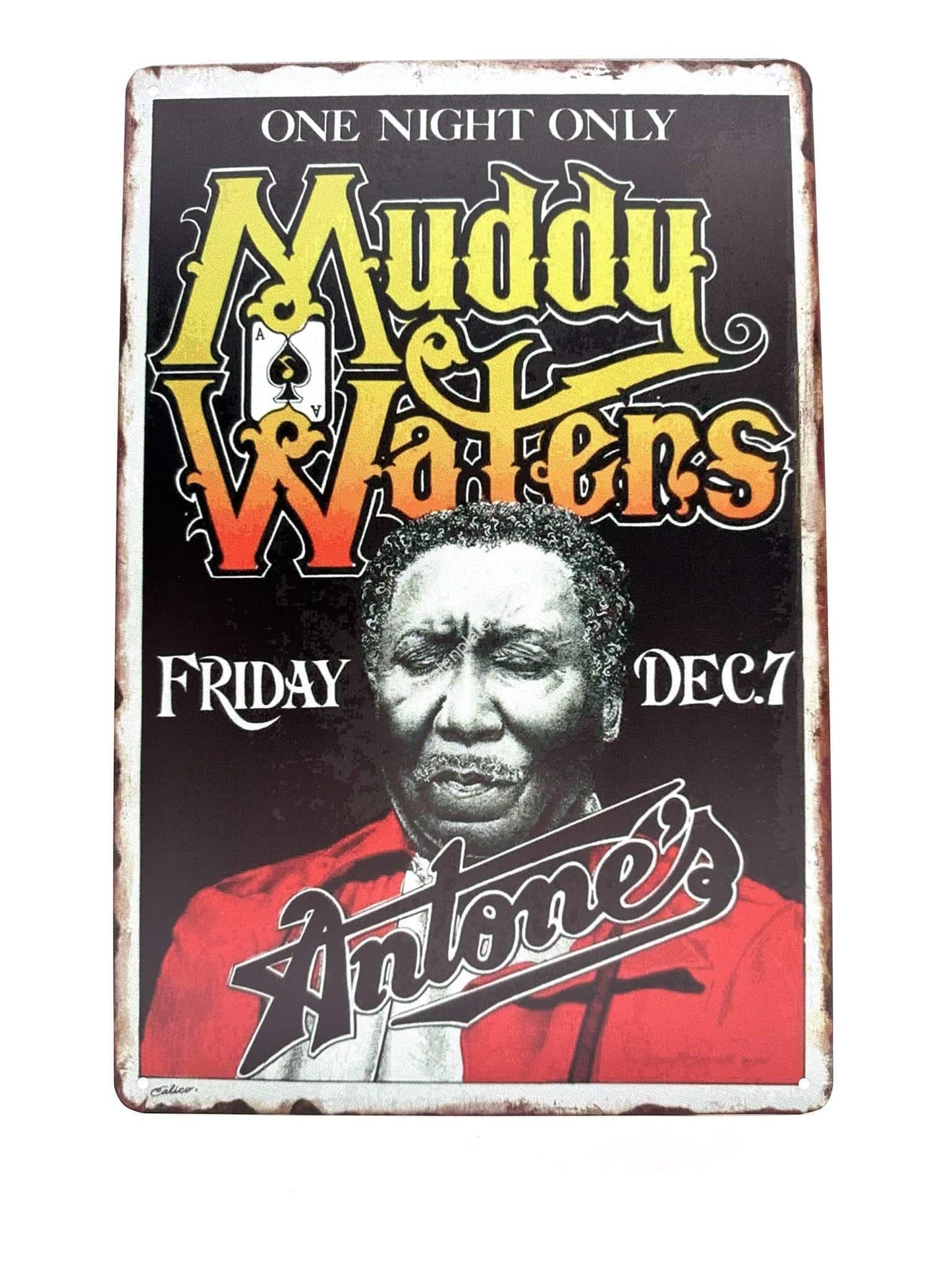 Metallwandschild – Muddy Waters – One Night Only – Poster