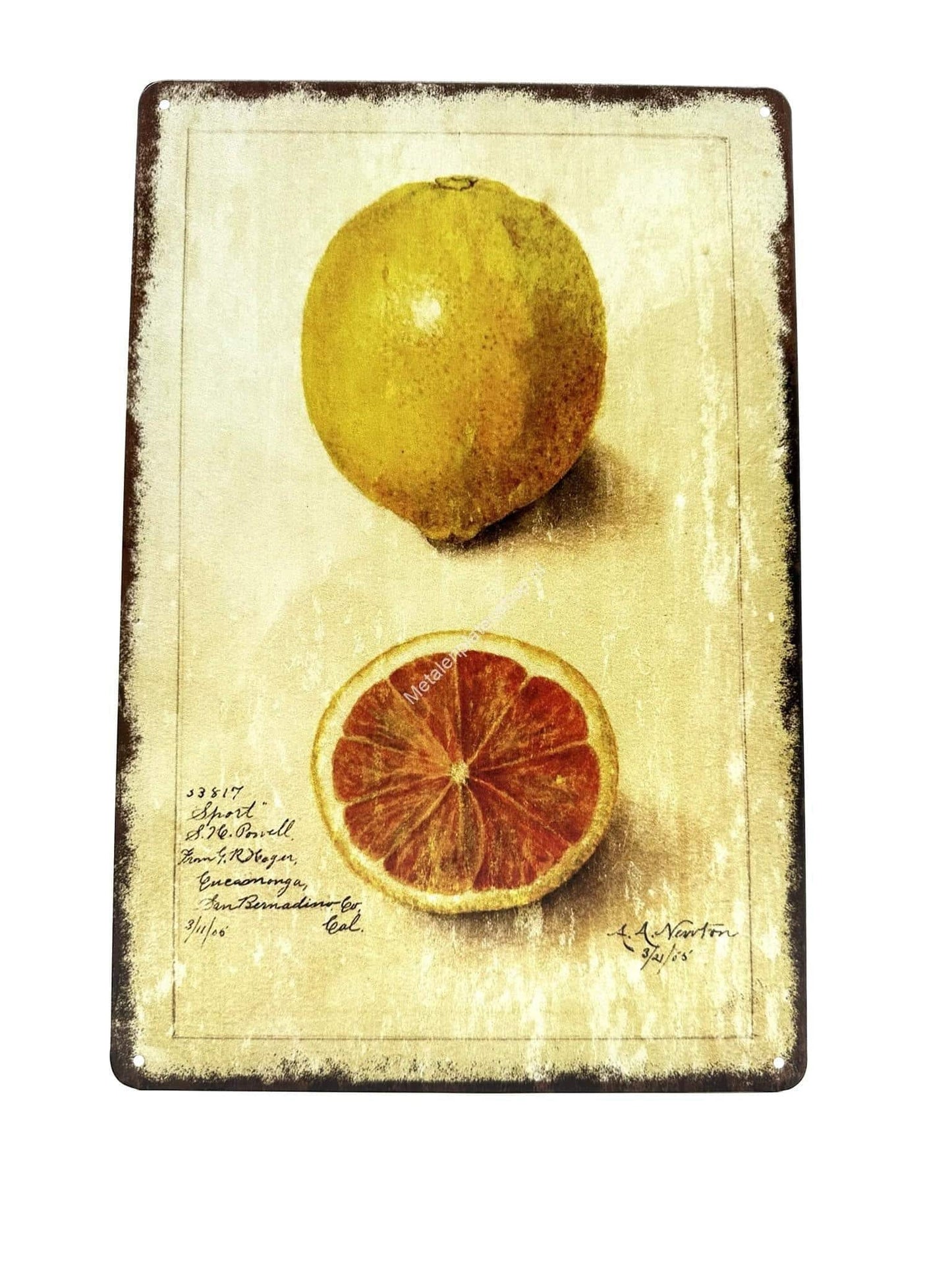 Metal Wall Sign - Lemon