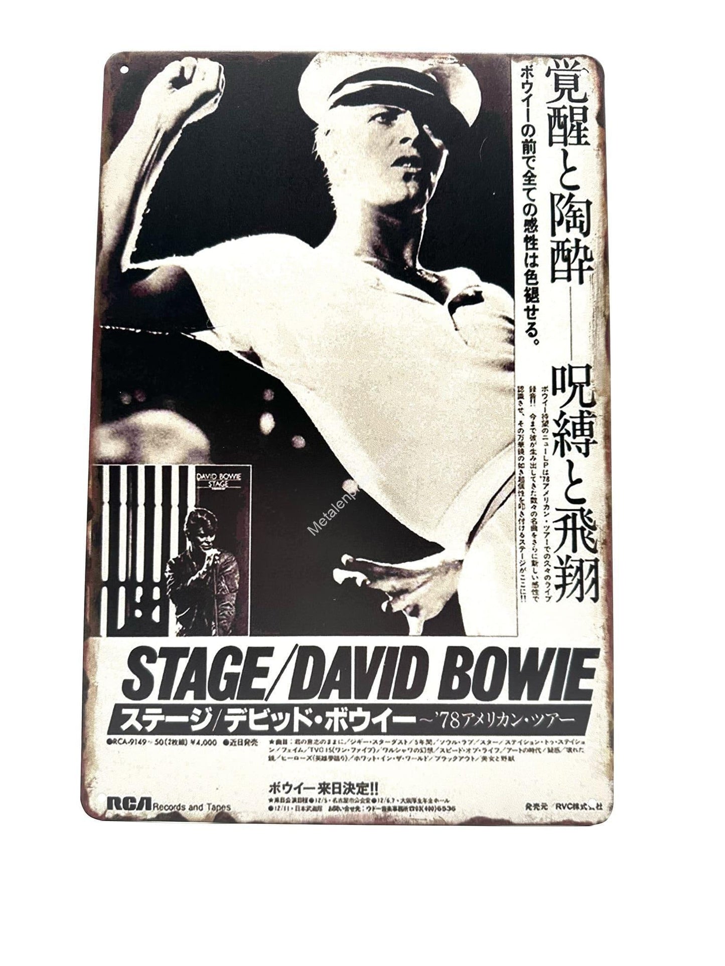 Metalen Wandbord - David Bowie