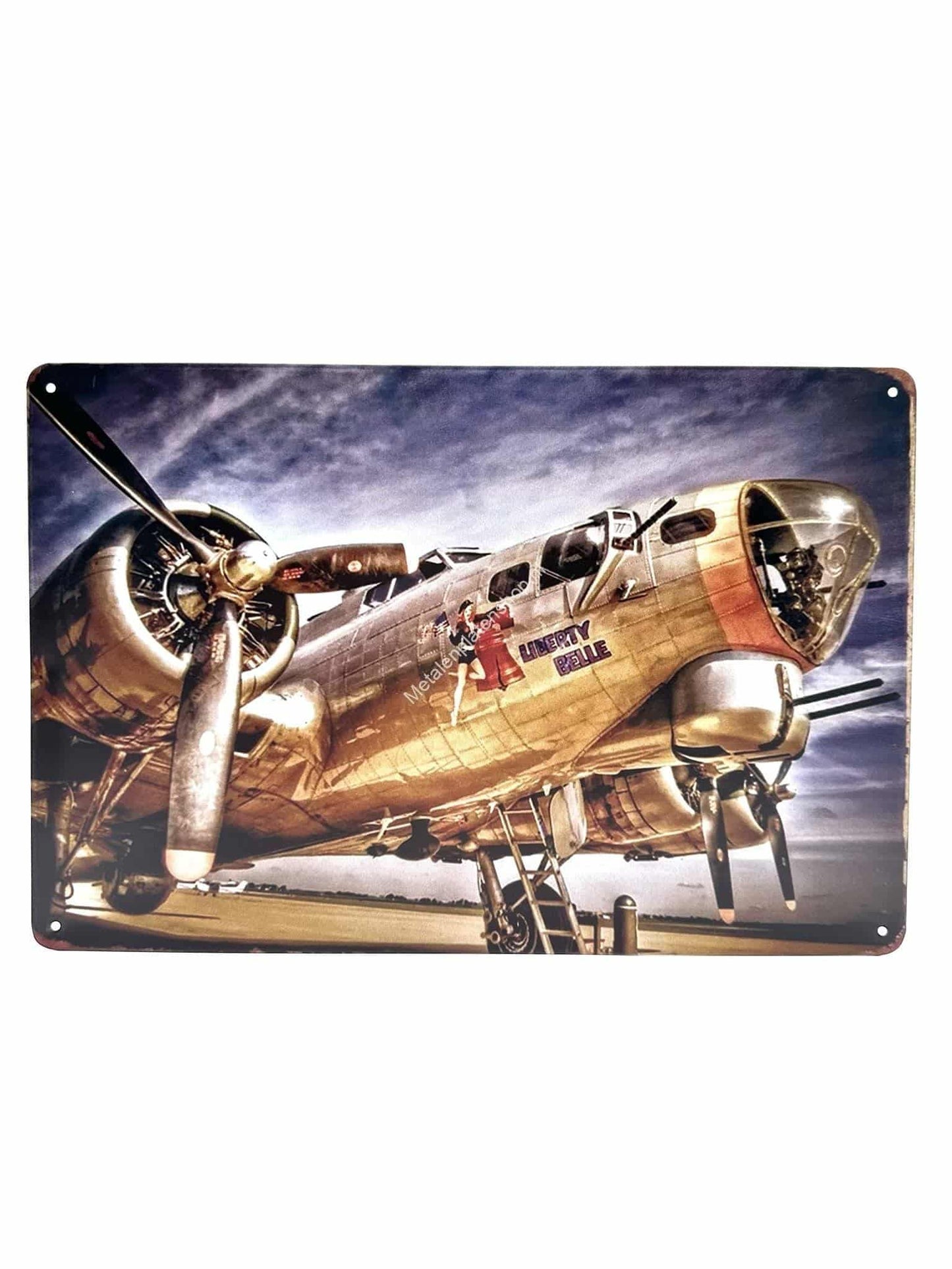 Wandschild aus Metall – Flugzeug – Liberty Belle