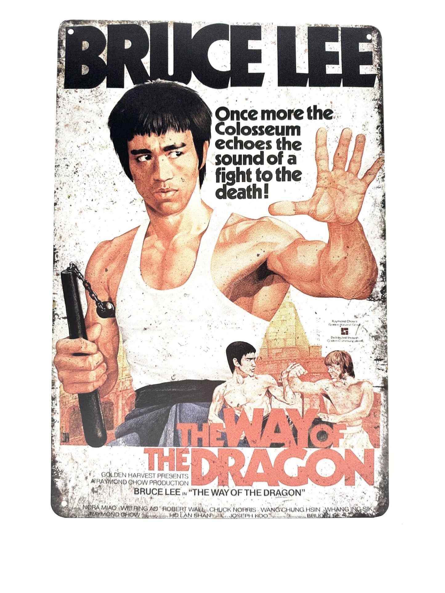 Wandschild aus Metall – Bruce Lee – der Weg des Drachen