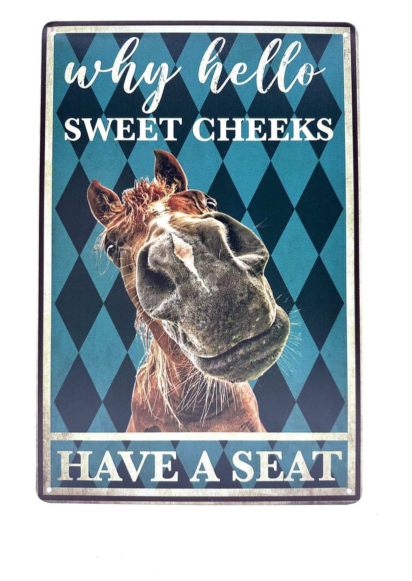 Wandschild aus Metall – Why Hello – Sweet Cheeks – Have a Seat