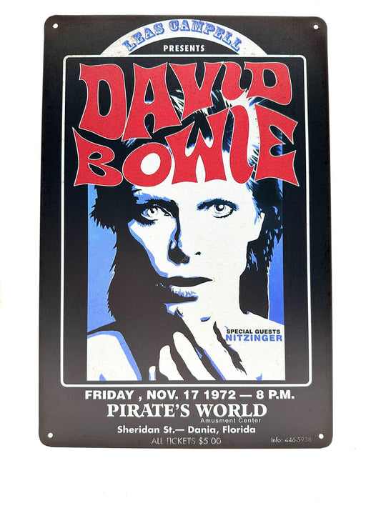 Metal Wall Sign - David Bowie - Pirate's World