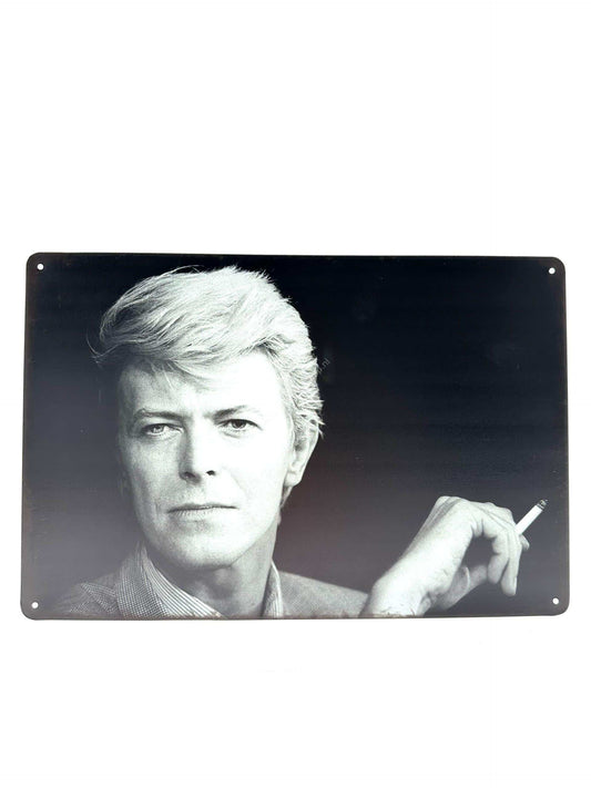 Metalen Wandbord -David Bowie