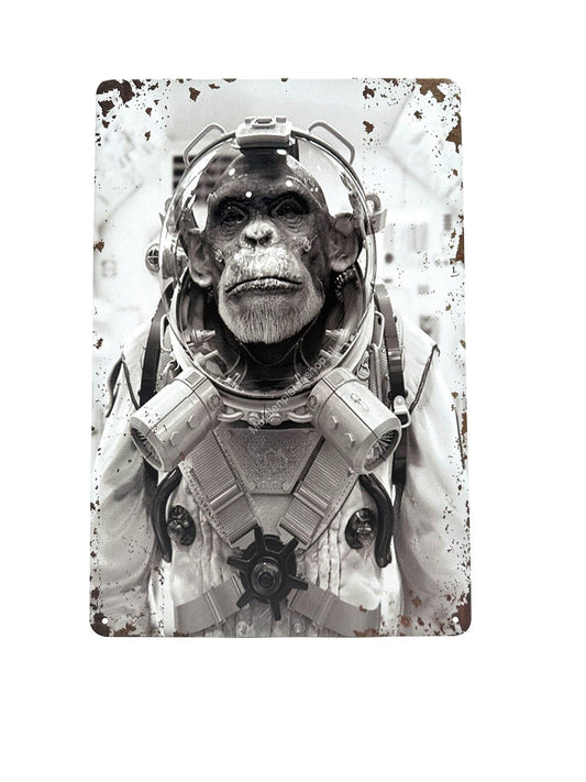 Metalen Wandbord - Aap Astronaut